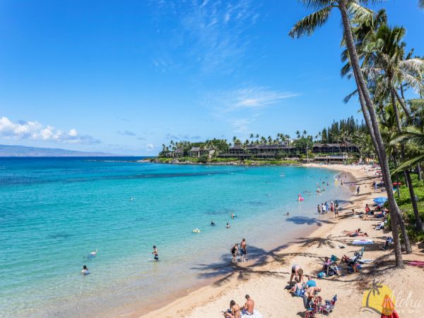 Kahana Condo 955369