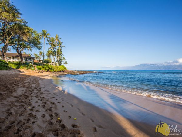 Kahana Condo 955369