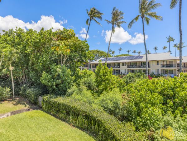 Kahana Condo 955372