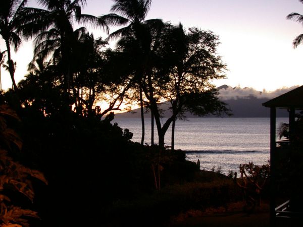 Kahana Condo 955374