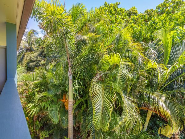 Kahana Condo 955374