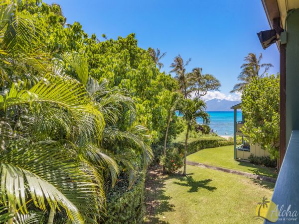 Kahana Condo 955374