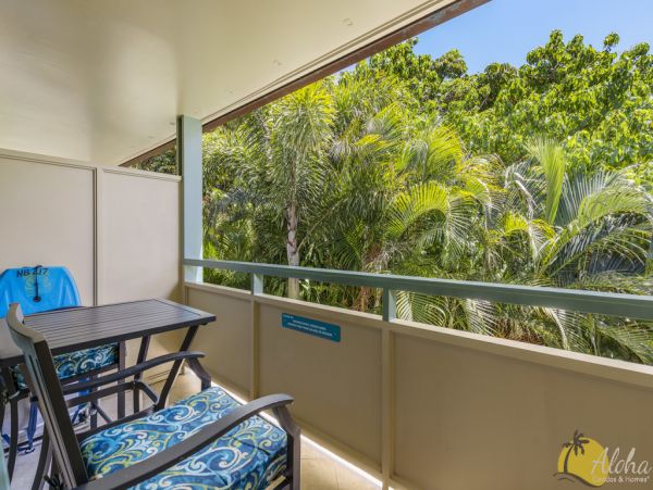 Kahana Condo 955374