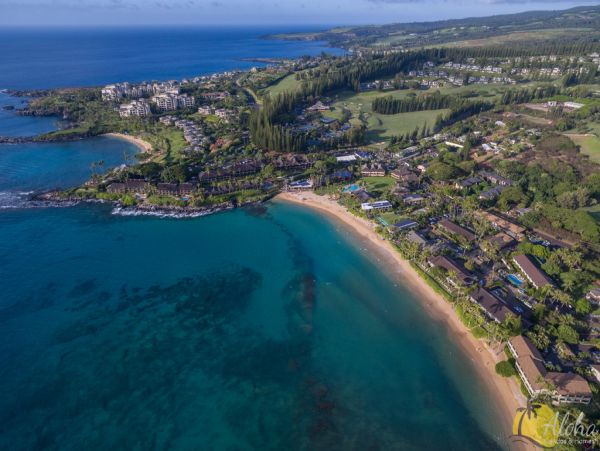 Kahana Condo 955374