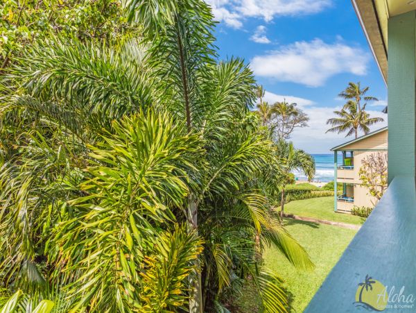 Kahana Condo 955375