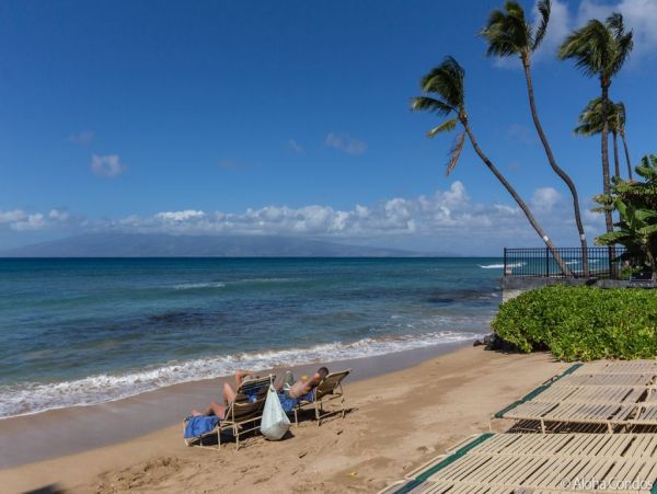 Beachfront Condo 2 Bedroom 1.5 Baths with Views