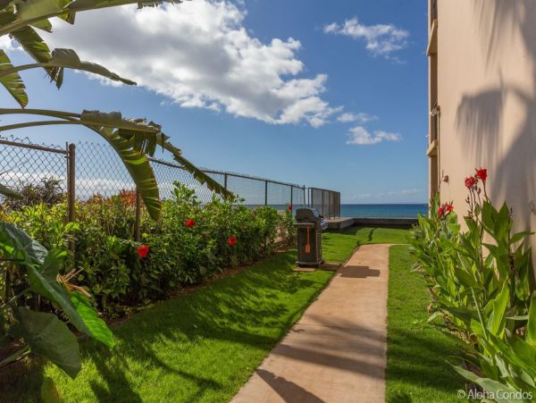 Beachfront Condo 2 Bedroom 1.5 Baths with Views