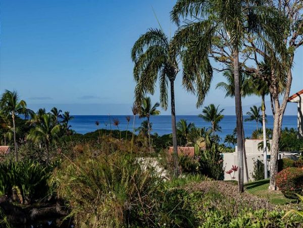 Wailea Condo 955380