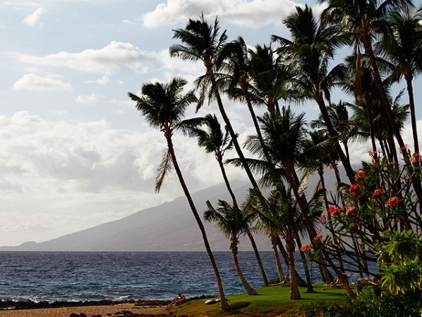 Kihei Condo 955381