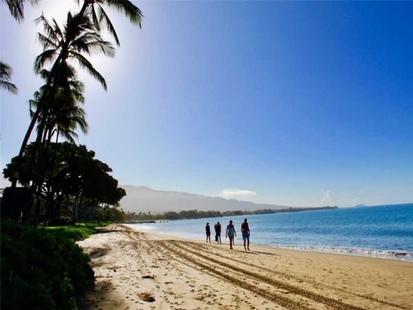 Kihei Condo 955388
