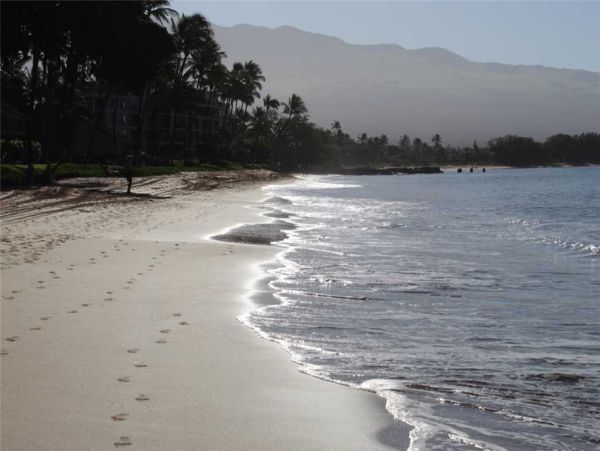 Kihei Condo 955388
