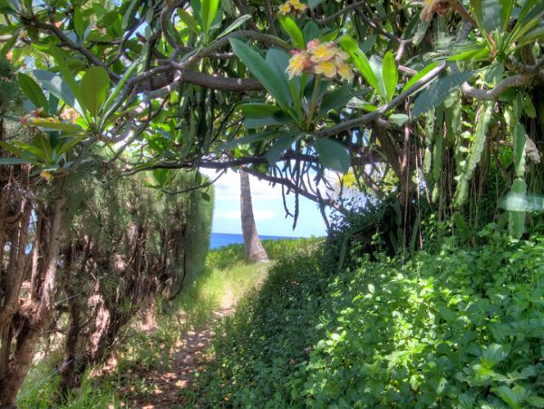 Kihei Condo 955402