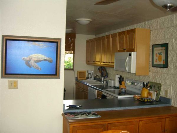 Kihei Condo 955403