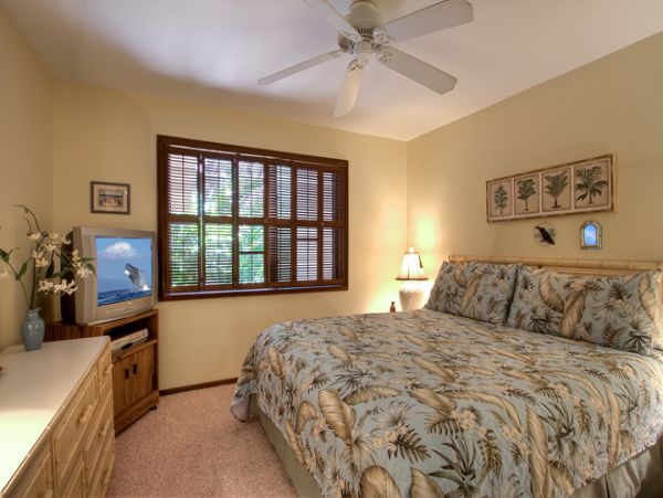 Kihei Condo 955405