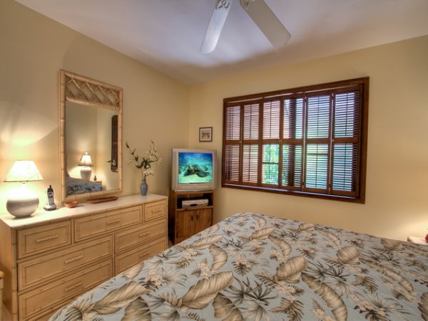 Kihei Condo 955405