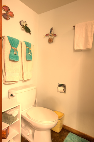 Kihei Condo 955405