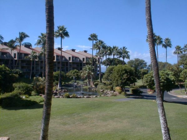Wailea Condo 955410