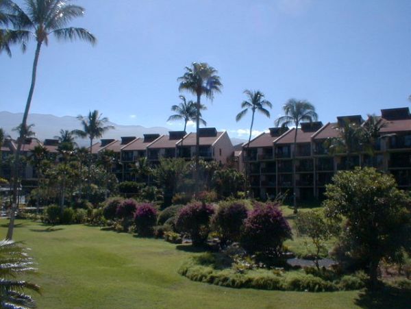 Wailea Condo 955410