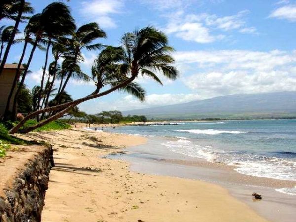 Kihei Condo 955418