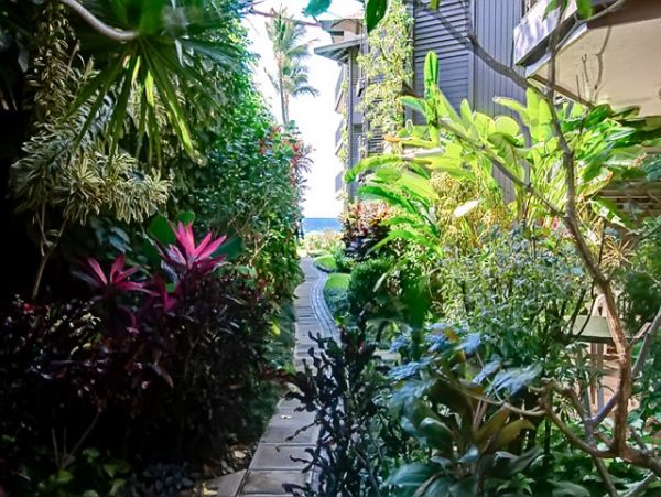 Kihei Condo 955425