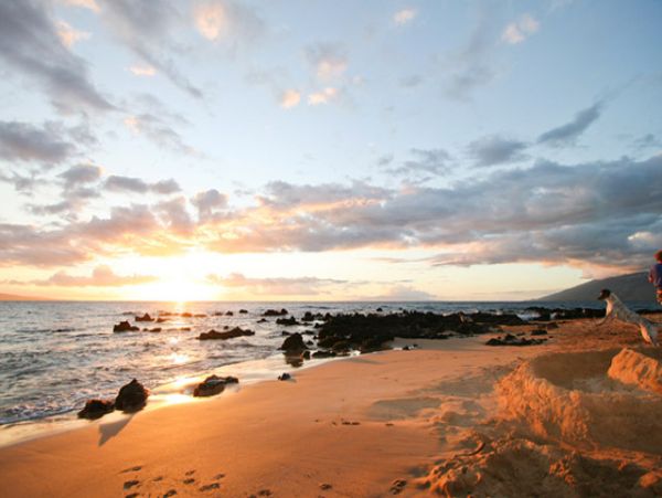 Kihei Condo 955425