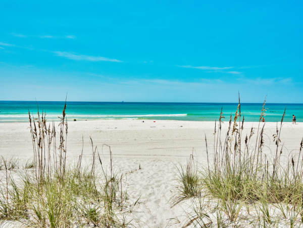 Oceanfront 5 Bedroom Home with Private Pool