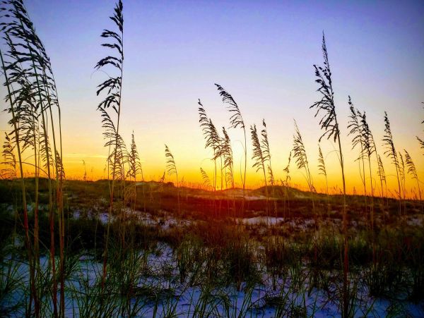 Panama City Beach Home 955445