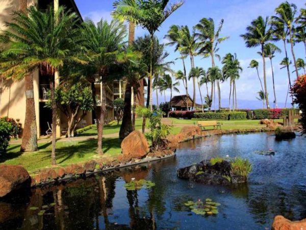 Two Bedroom Ocean Views Rental Condo in Kaanapali