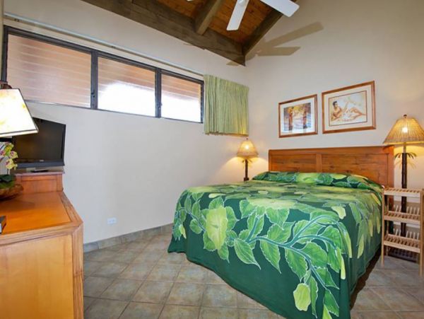 Two Bedroom Ocean Views Rental Condo in Kaanapali