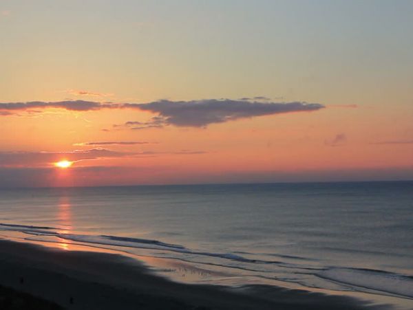 Sweeping Gulf Views From This 2 Bedroom Condo on the Beach