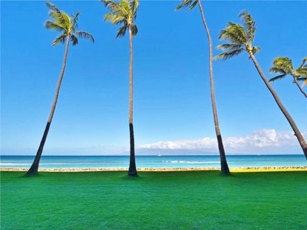 Oceanfront Kaanapali Vacation Condo One Bedroom