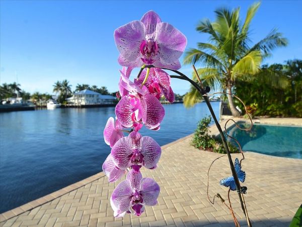 Fort Lauderdale Home 955483