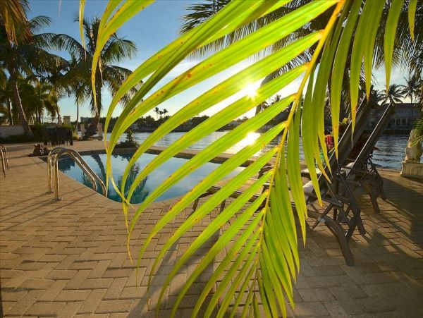 Fort Lauderdale Home 955483