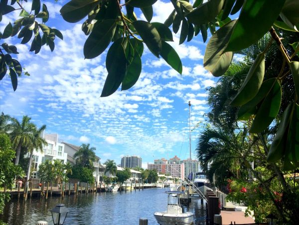 Fort Lauderdale Home 955487
