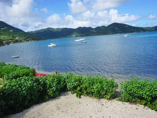 St. John Home 955551