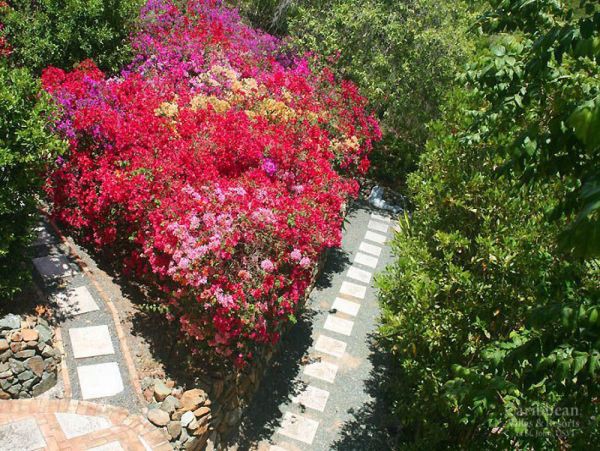 St. John Home 955554