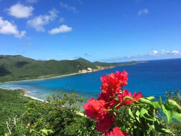 St. John Home 955572