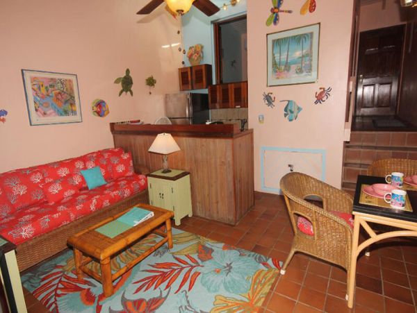 Value One Bedroom Water View St. John Vacation Condo