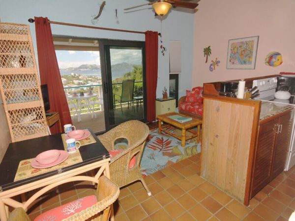 Value One Bedroom Water View St. John Vacation Condo