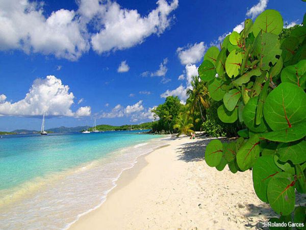 Value One Bedroom Water View St. John Vacation Condo