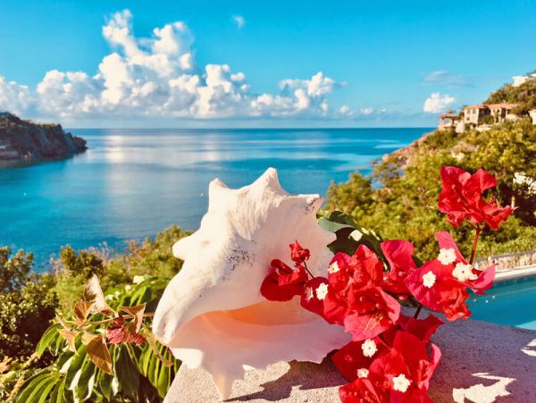 St. John Home 955592