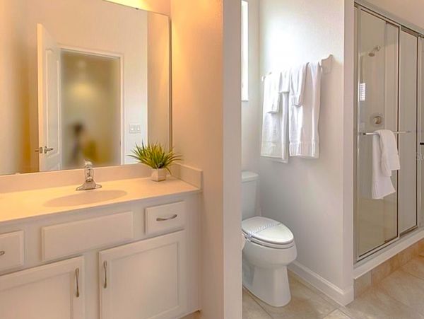 Orlando Home 955694