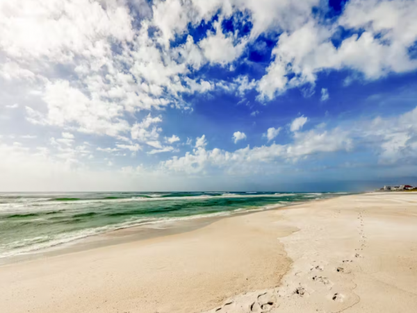 Spacious Condo with Full Ocean Views