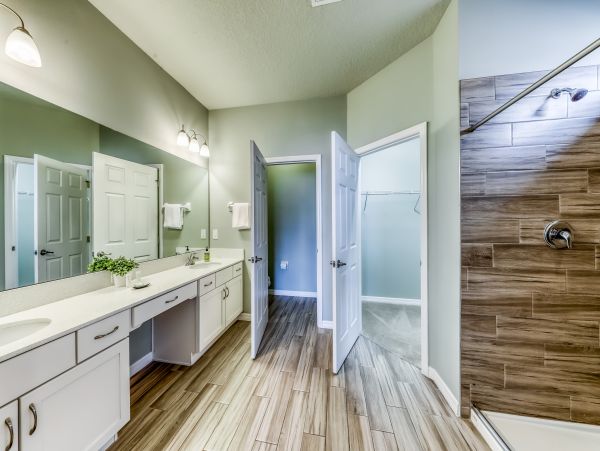 Orlando Home 955709