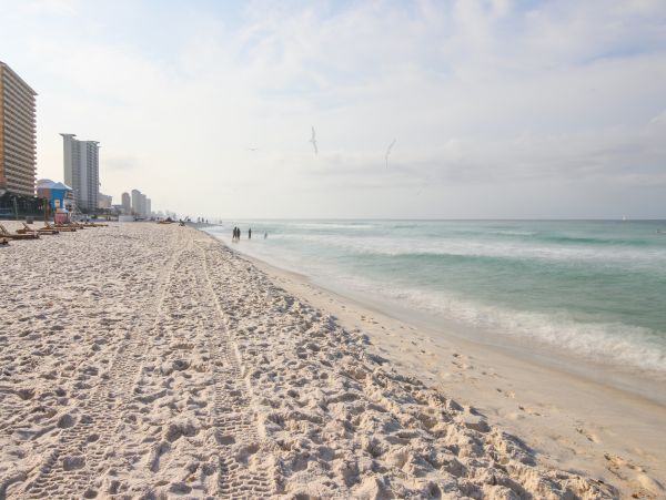 Panama City Beach Condo 955716