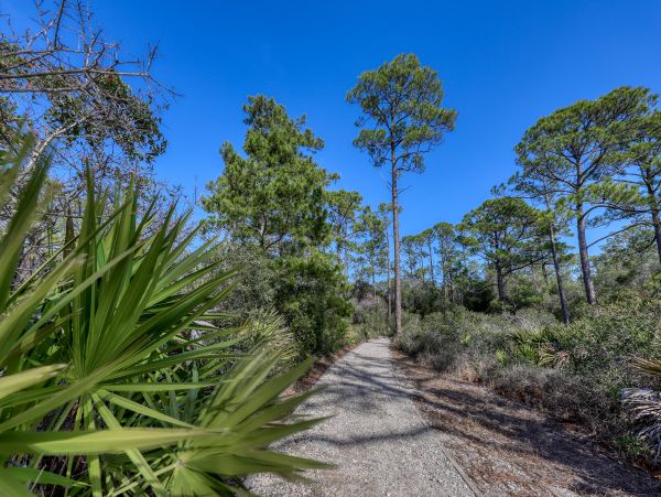 Beaches Of South Walton Condo 955775