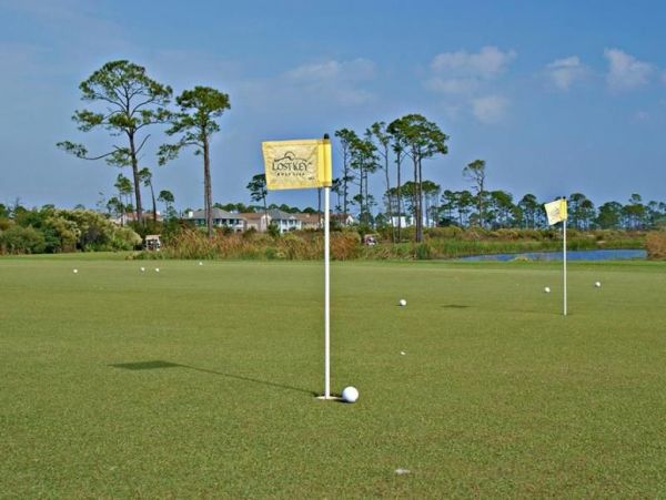Perdido Key Condo 955786