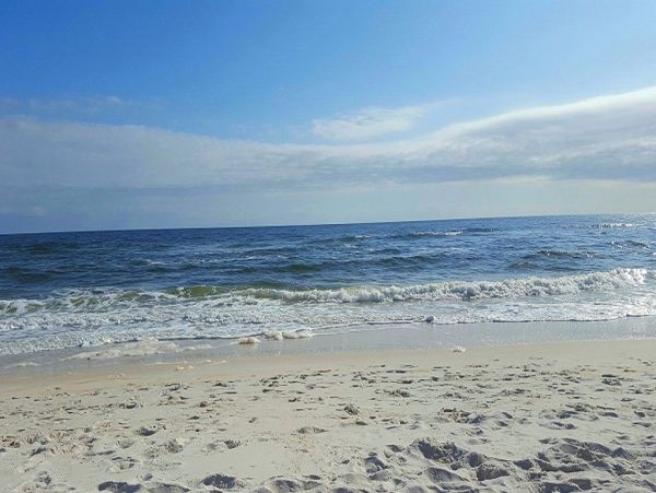 Perdido Key Condo 955786
