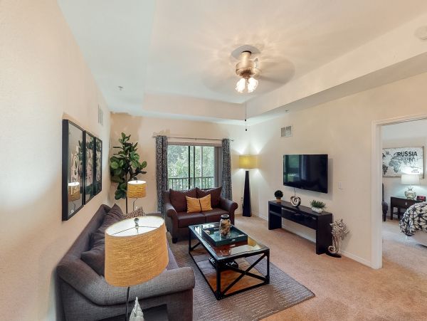 Orlando Condo 955802