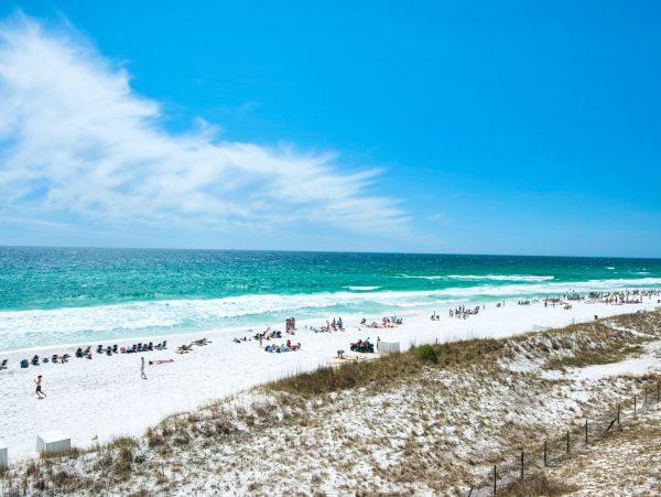 Destin Condo 955806